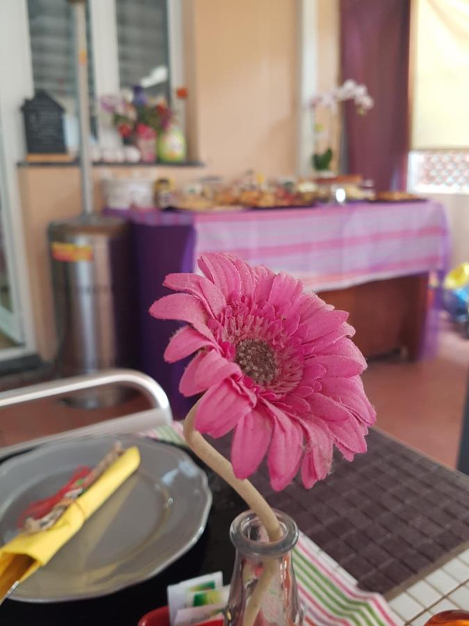 Bed and Breakfast Ghiro Ghiotto П'єтра-Лігуре Екстер'єр фото